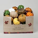 のセット( ) Fall Harvest人工Pumpkins ( 3.5インチ) in Assorted Colors 。 3.5 inch G15757