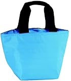 soloa 保温 保冷 お出かけ バッグ ブルー (500ml缶×4本入る)