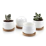 T4U 7CM 陶器鉢 白 ジャーシェイプデザイン 植木鉢 多肉植物 サボテン鉢 花鉢 容器 プランター 4個入り