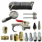 Interstate Pneumatics C16K 16-Piece Air Tool Accessory Kit with Hose by Interstate Pneumatics