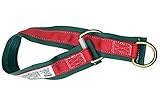 3M Protecta AJ450A6 Pass-Thru Web Tie Off Adaptor, 6-Feet, Red/Gray [並行輸入品]