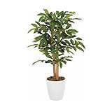 グリーン／観葉植物 光触媒 造花 アルデシア グリーン 人工植物 消臭 抗菌 防菌 ホルムアルデヒド 植物 人工 タバコ アートフラワー オフィス プレゼント ギフト