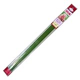 渡辺泰 洋ラン線 10本パック 3.2x600mm