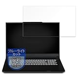 MotoMoto フィルム iiyama LEVEL-17WG191-i9-XL1X-D 17.3 インチ用 保護フィルム ブルーライトカット フィルム 反射低減