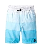 (ハーレー)Hurley キッズ下着・アンダーウェア Poplin Pull-On Shorts (Big Kids) Chlorine Blue XL n/a One Size [並行輸入品]