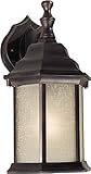 Forte Lighting 1725-01-32 Exterior Wall Light with Umber Linen Glass Shades, Antique Bronze [並行輸入品]