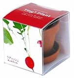 タイニィタイニィプラント ラディッシュ