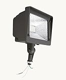 BWL Outdoor light, Floodlight, Waterproof, 30W, 3300 Lumens, 5000K Daylight, Brown, ETL/cETL,Super B
