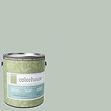 Inspired Eggshell Interior Paint, Water .02, Gallon [並行輸入品]