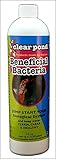 High quality Beneficial Bacteria Liquid, 16-Ounce