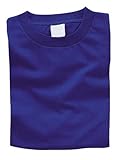 アーテック カラーTシャツ(ヘビーウェイト) C 38961 ロイヤルブルー