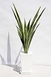 インテリアグリーン人工観葉植物・サンセビアW受け皿付き、光触媒品