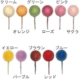 シュガーベリーピック　S　サクラ　12粒入り【実物】【フェイク】