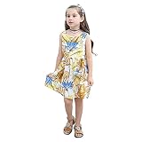 Chaufly 子供スカート子供服 女の子 ベビー ワンピース ノースリーブ 紅葉柄 膝丈 aライン ドレス 女の子服 超柔らかい 綿 フリルスカート 姫様 春 夏