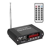 Acogedor パワーアンプ 3 in 1、ワイヤレス 5.0、40 ワット X 2、USB 入力サポート、カラオケ ホームシアター オーディオ レシーバー (黒いBluetoothプレーヤー)