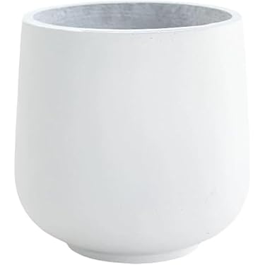 Amazon.co.jp 最新リリース: 鉢 の新着ランキングです。