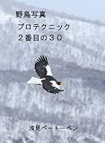 野鳥写真プロテクニック２番目の３０