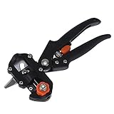 苗は果物と野菜グラフトグラフトグラフトグラフトグラウンドグラウンドフルーツグラフトナイフ