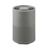アイリスオーヤマ 空気清浄機 静音 小型 自動モード 省エネ ペット 脱臭 花粉 ホコリ PM2.5 集じん ウイルス アレルギー フィルター交換ランプ付き 10畳 AAP-S20C-H グレー