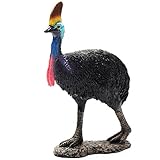 Collcta ヒクイドリ