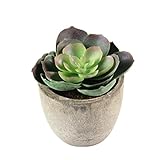 WINOMO 小さな人工多肉植物偽の緑の花プランターホームの装飾のためのグレーの鍋