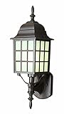 Trans Globe Lighting 4420 BK 19-1/2-Inch 1-Light Outdoor Square Wall Lantern, Black [並行輸入品]