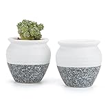 T4U 6CM 陶器ミ二植木鉢 韓国風の雪花シリーズ No.5 ドラム腹 多肉植物 サボテン鉢 フラワーポット プランター容器 2個入り