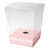 フラワークリアボックス ロマンチックスイート スタンド付-L (10枚) RO-FBL