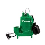 Hydromatic HTS33A1 High-Temperature 1/3 HP Cast Iron Sump Pump [並行輸入品]