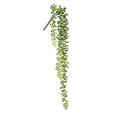 Darice Artificial Succulent 20.5 Inch Sedum Dangle Green [並行輸入品]