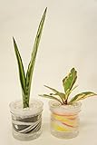 【ズボラさんでも大丈夫!!自動給水だからお世話が簡単です♪】　観葉植物　ハイドロカルチャー　自動給水器　アクアサンド　黒・黄２個セット