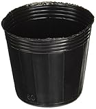 ゴールデンスター 育苗用品 ポリポット60mmφ  7055