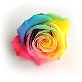 レインボーローズ　1輪　【プリザーブドフラワー】【バラ】【花材】