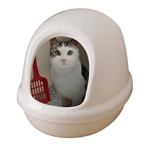 https://images-fe.ssl-images-amazon.com/images/I/41LejrTnM%2BL.jpg
