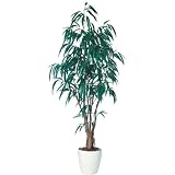 エフプランター 人工観葉植物-ショウナンゴム-210-9号鉢-RP300