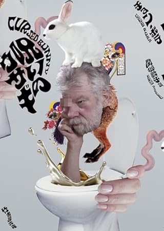 呪いのウサギ (竹書房文庫, ぼ2-1)