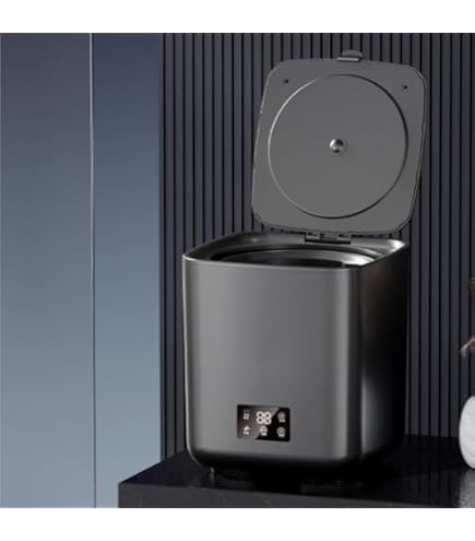 Amazon.co.jp: FOVNY小型 コンパクト脱水機 2kg ステンレス槽 改良型