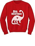 TeeStars – Big Brotherギフト恐竜Lovingボーイズ幼児/子供用スウェットシャツ カラー: レッド
