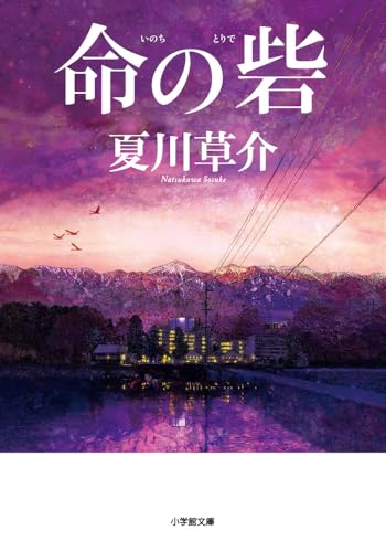 夏川草介:命の砦