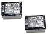 WELLSKY BN-VG121 BN-VG129 2個 互換バッテリー [ 純正充電器で充電可能 残量表示可能 純正品と同じよう使用可能 ] [ ビクター Everio エブリオ ]
