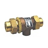 Red-White Valve 34RW1953 FNPT Dual Disc Backflow Check, 3/4" [並行輸入品]