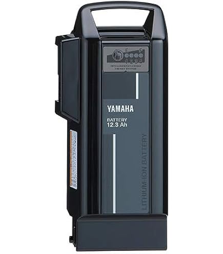 Amazon.co.jp: Yamaha X0T-82110-21 Lithium Ion Battery, 12.3 Ah