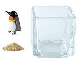 花市場直送便 ミニチュアガラス キングペンギン & カラーサンド ゴールド & 植え込み用グラス ニューブロックS