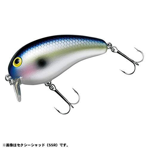 10%OFFۥ(Daiwa)󥯥٥ȥԡʥåIISRåɥ륢