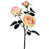 ローズスプレーX3 FXFR0008PE