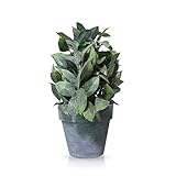 人工観葉植物 造花 フェイクグリーン お手入れ不要 玄関 トイレ お部屋 インテリア C