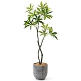 GREENPARK パキラ ナチュラルバスケット H28 グレー 造花 フェイクグリーン
