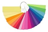 Pantone ffn100ファッション+ホームナイロンブライト