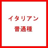 【種 14kg】 イタリアンライグラス 普通種 緑化用 緑肥 [播種期：3～10月] 雪印種苗 米S代不