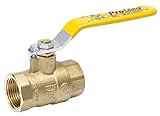 Proline 107 – 813 NL IPS低リードボールバルブ、1 / 2 "